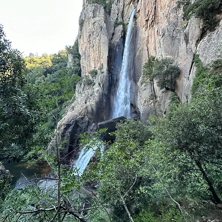 Casa Mya Διαμέρισμα *